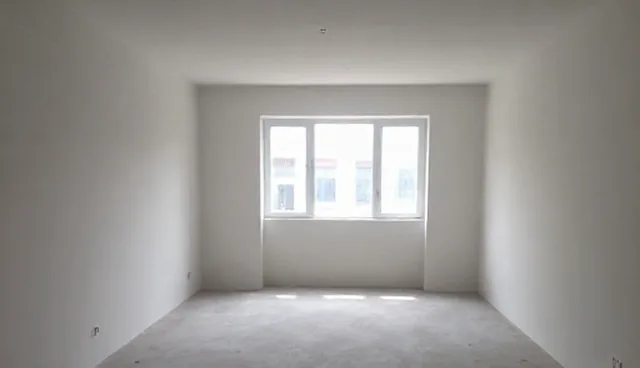 地区发展中的技术更新差异与能力建设取舍
