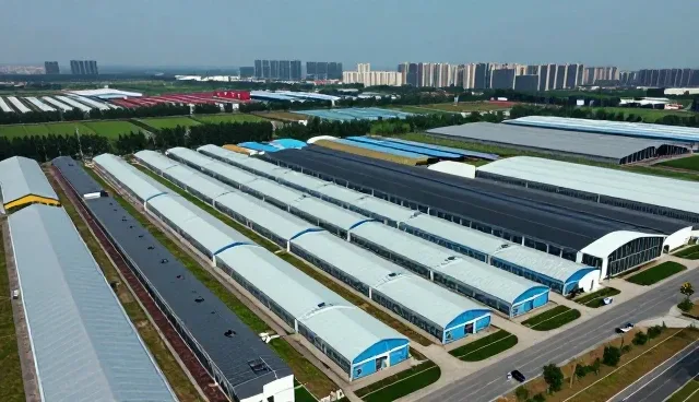 性能优化与适用条件：技术外包在区域发展中的实践路径
